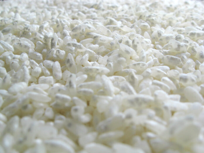 koji