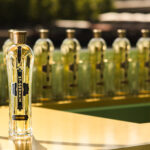 ST-GERMAIN x BARAPAPA