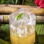 Cocktail sans alcool